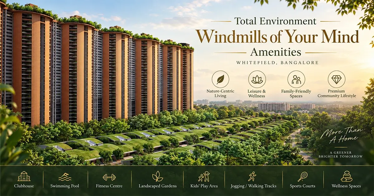 Total Environment Windmills Of Your Mind Amenities
